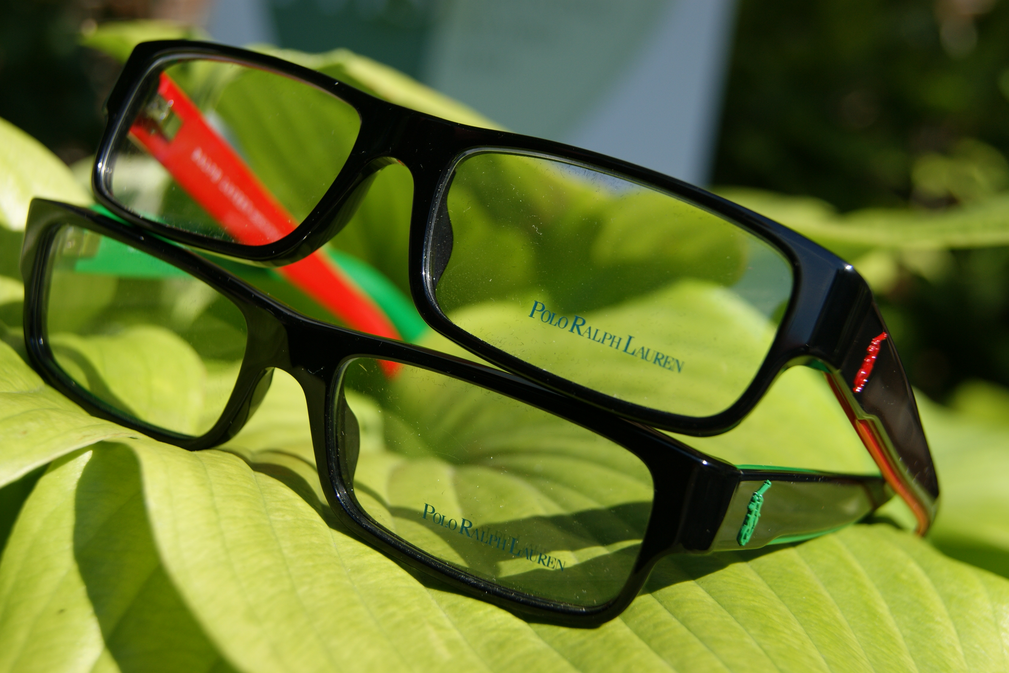 polo mens glasses frames